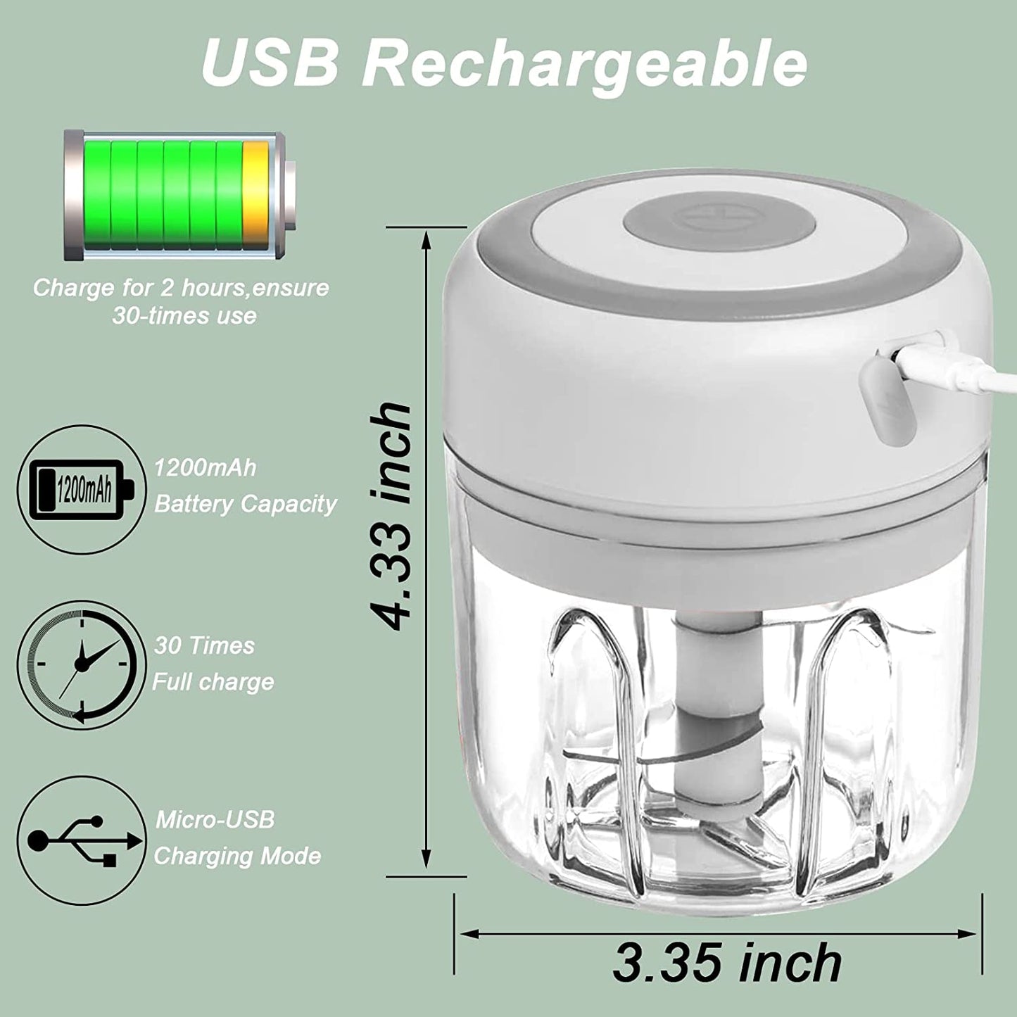 Electric Mini Chopper with 100/250mL Capacity Options