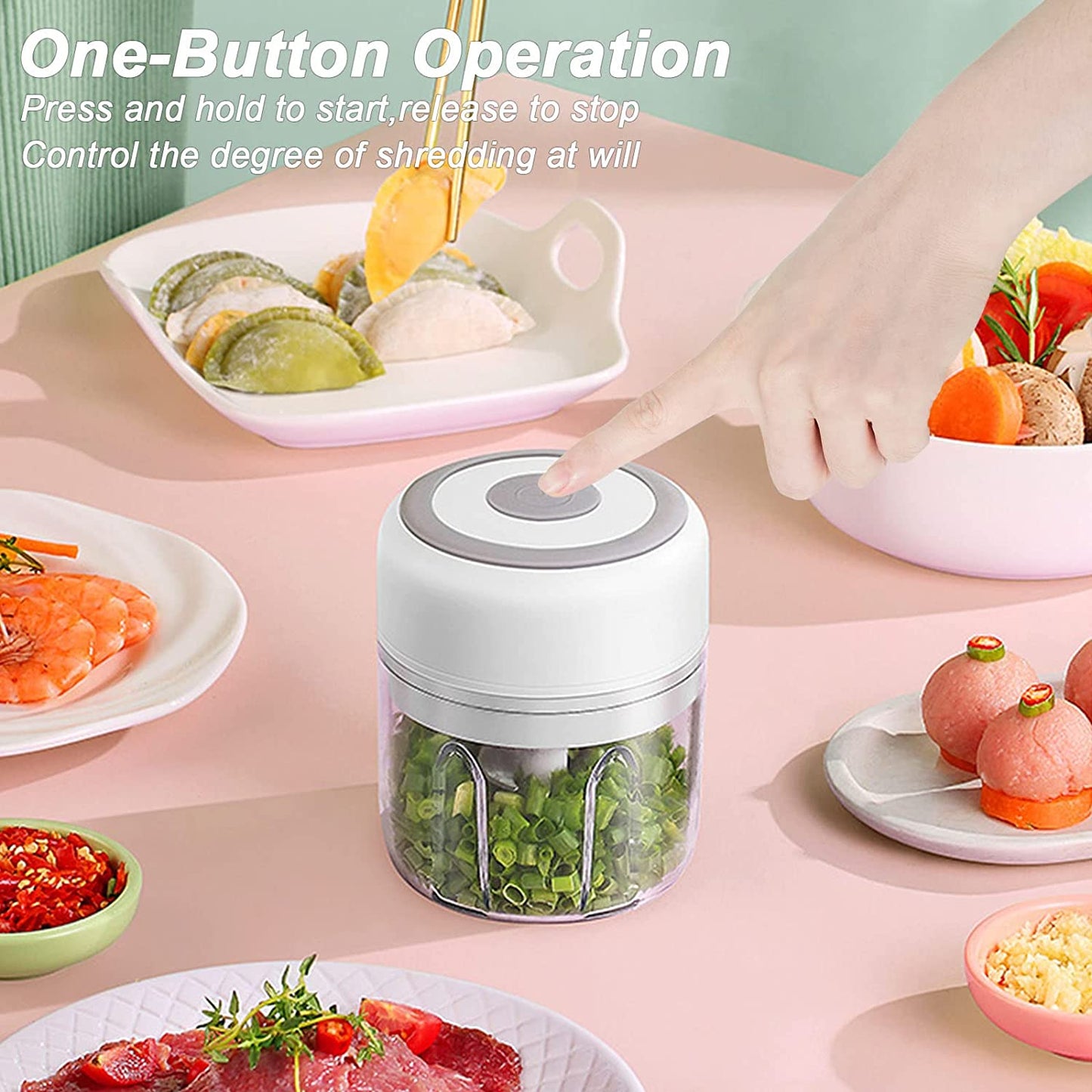 Electric Mini Chopper with 100/250mL Capacity Options