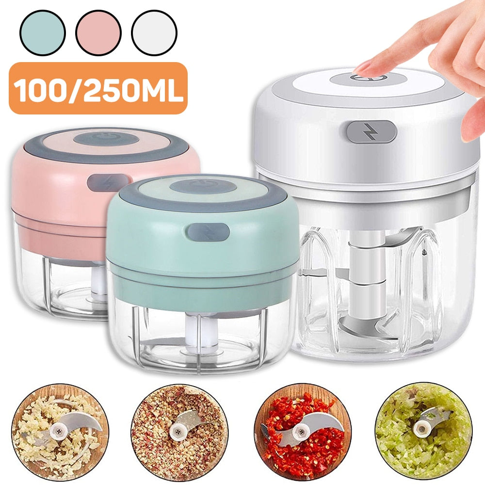 Electric Mini Chopper with 100/250mL Capacity Options